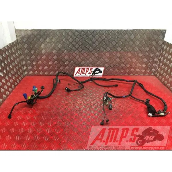 Faisceau électrique principale1200BANDIT03BS-055-FXB0-A4363260used