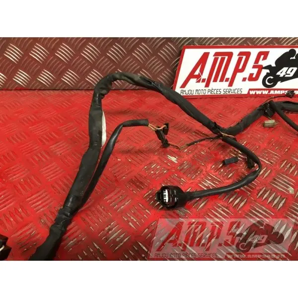 Faisceau électrique principale1200BANDIT03BS-055-FXB0-A4363260used