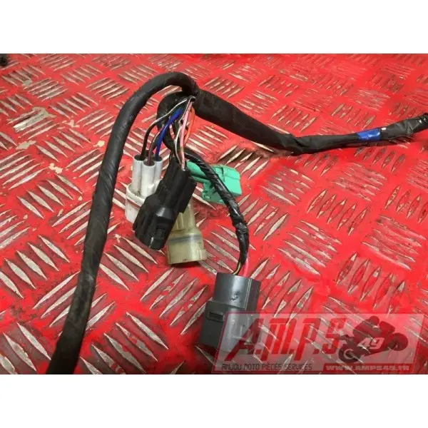 Faisceau électrique principale1200BANDIT03BS-055-FXB0-A4363260used