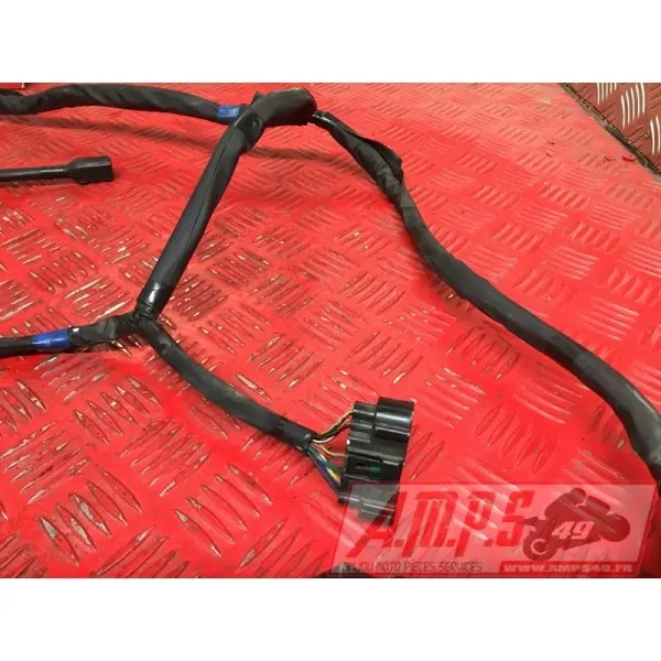 Faisceau électrique principale1200BANDIT03BS-055-FXB0-A4363260used