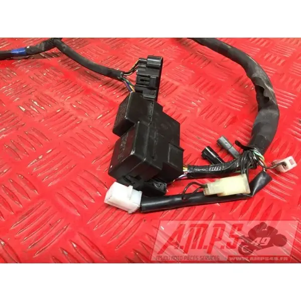 Faisceau électrique principale1200BANDIT03BS-055-FXB0-A4363260used