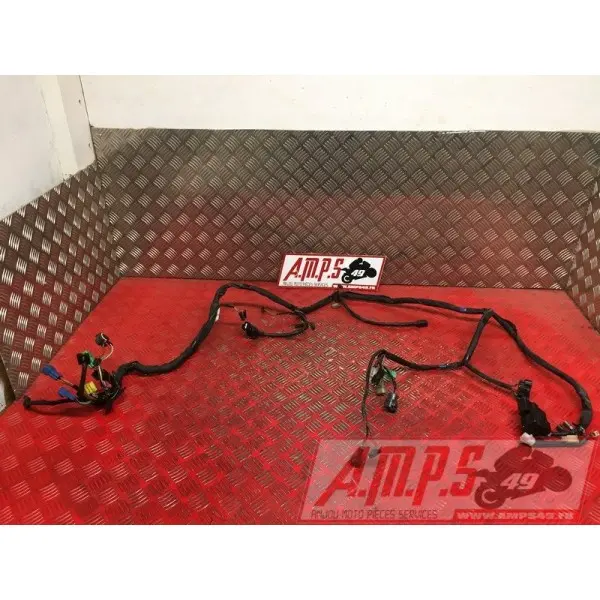 Faisceau électrique principale1200BANDIT03BS-055-FXB0-A4363260used