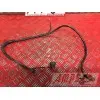 Cable de masseSVN100003EA-138-RRB0-A5363427used