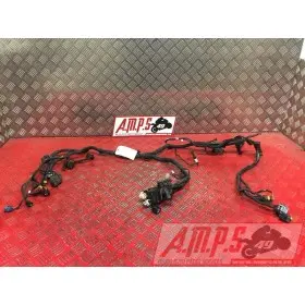 Faisceau électrique principale 119989914DG-853-PWH0-A3363585used