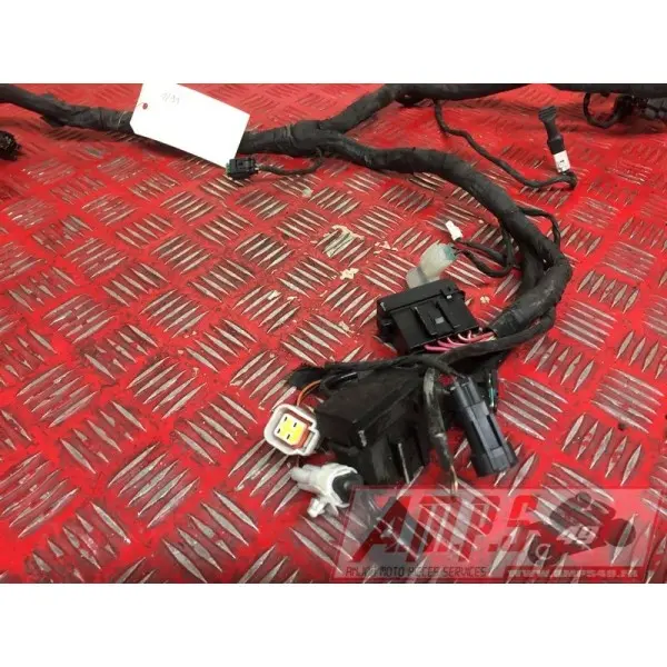 Faisceau électrique principale 119989914DG-853-PWH0-A3363585used