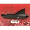 Cache sous reservoir gauche1250BANDIT15DQ-798-LQB0-A3363837used