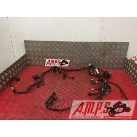 Faisceau électrique principale1250BANDIT15DQ-798-LQB0-A3363865used