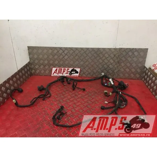 Faisceau électrique principale1250BANDIT15DQ-798-LQB0-A3363865used