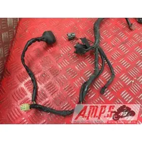 Faisceau électrique principale1250BANDIT15DQ-798-LQB0-A3363865used