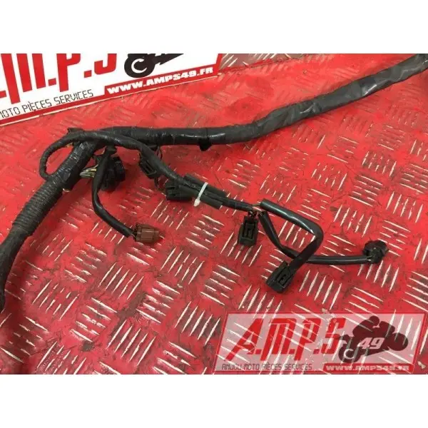 Faisceau électrique principale1250BANDIT15DQ-798-LQB0-A3363865used