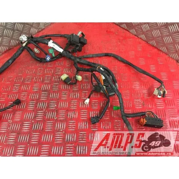 Faisceau électrique principale1250BANDIT15DQ-798-LQB0-A3363865used