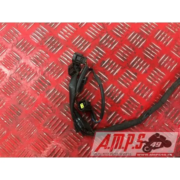 Faisceau électrique principale1250BANDIT15DQ-798-LQB0-A3363865used