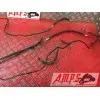 Kit de durite frein1250BANDIT15DQ-798-LQB0-A3363946used