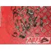 Kit de vis partie cycle1250BANDIT15DQ-798-LQB0-A3363919used