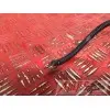 Cable de masseSVN65000BA-918-ZTB0-A2364016used