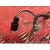 Cable de masse 2SVN65000BA-918-ZTB0-A2364015used