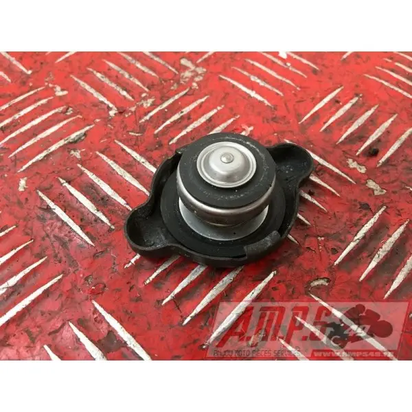 Bouchon de radiateurZX10R05CJ-256-ZGB3-D1364974used