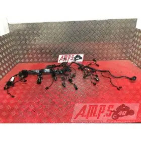 Faisceau électrique principaleSTREET66018EY-570-EXH2-E4365164used