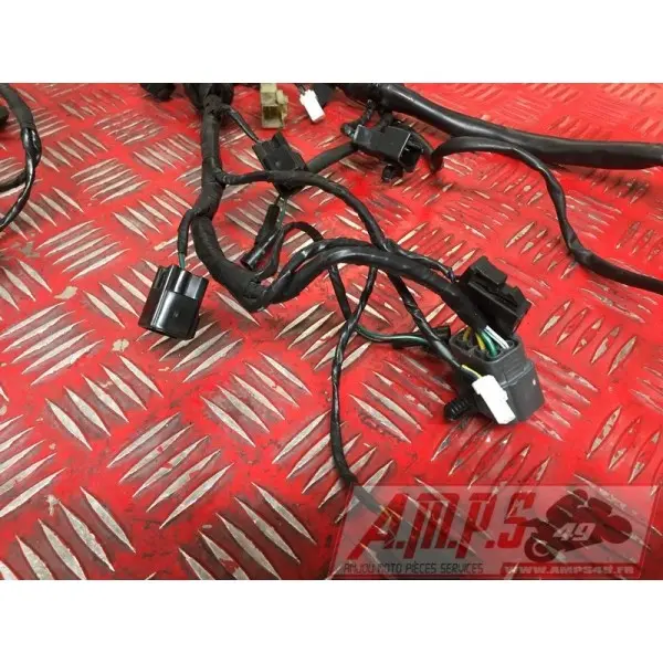 Faisceau électrique principaleSTREET66018EY-570-EXH2-E4365164used