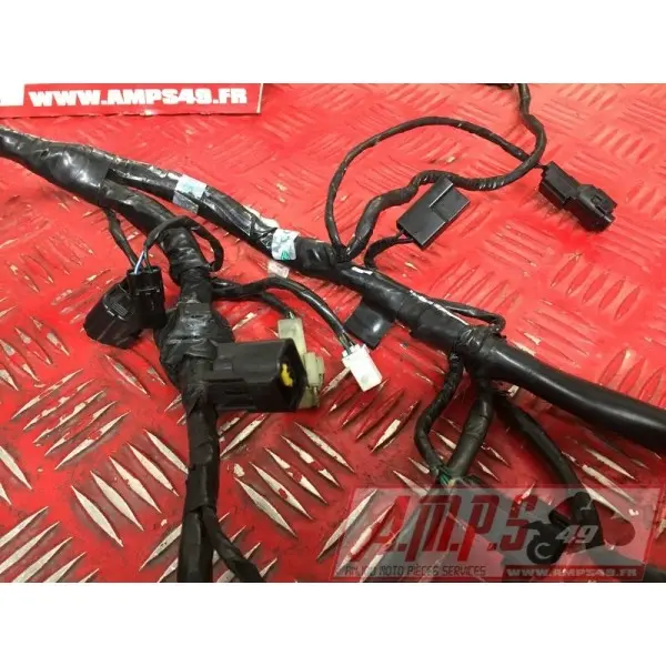 Faisceau électrique principaleSTREET66018EY-570-EXH2-E4365164used