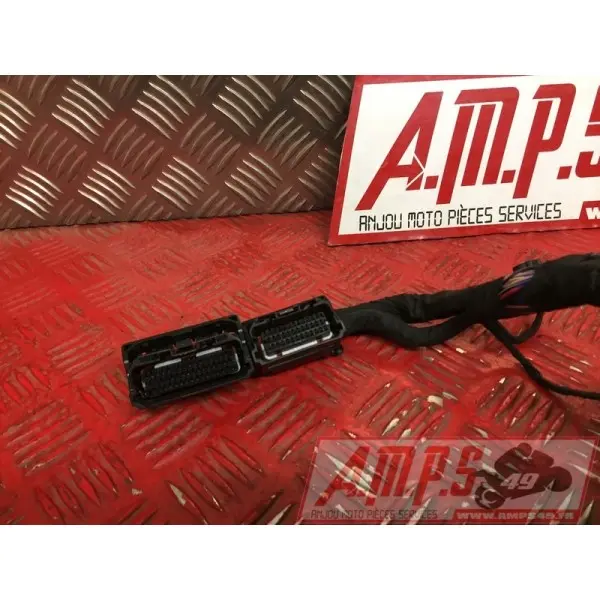 Faisceau électrique principaleSTREET66018EY-570-EXH2-E4365164used