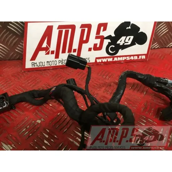 Faisceau électrique principaleSTREET66018EY-570-EXH2-E4365164used