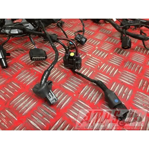 Faisceau électrique principaleSTREET66018EY-570-EXH2-E4365164used