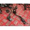 Faisceau électrique principaleSTREET66018EY-570-EXH2-E4365164used