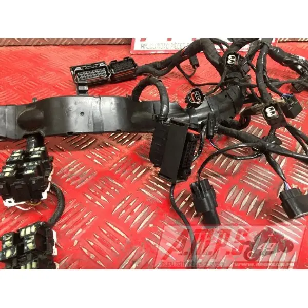 Faisceau électrique principaleSTREET66018EY-570-EXH2-E4365164used