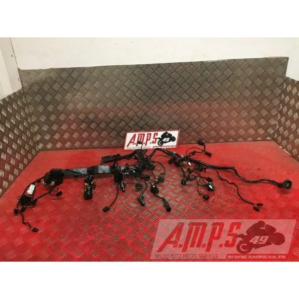 Faisceau électrique principaleSTREET66018EY-570-EXH2-E4365164used