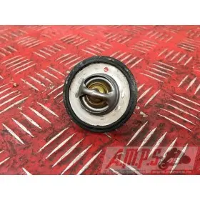 CalorstatSTREET66018EY-570-EXH2-E4365196used