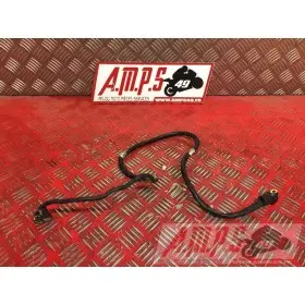 Cable de masse 1R109AA-081-MJB0-C4365882used