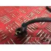 Cable de masse 1R109AA-081-MJB0-C4365882used