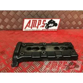 Cache culbuteurR199BISBA-501-ELB0-C3BIS365932used