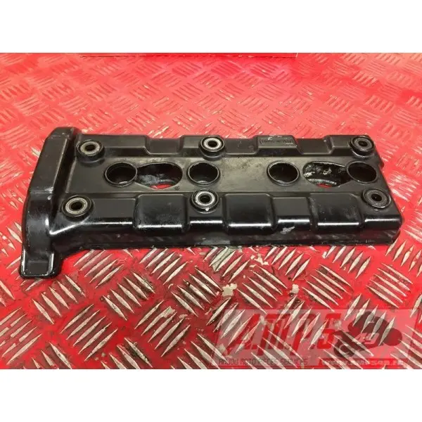 Cache culbuteurR199BISBA-501-ELB0-C3BIS365932used