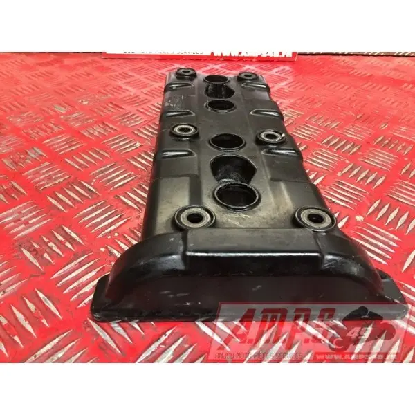 Cache culbuteurR199BISBA-501-ELB0-C3BIS365932used