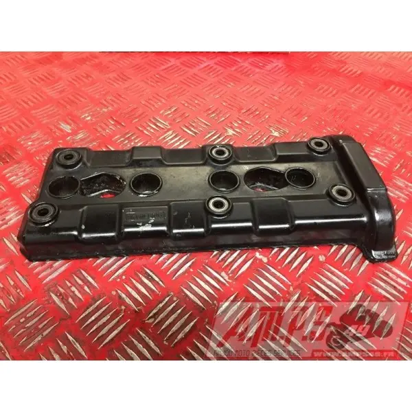 Cache culbuteurR199BISBA-501-ELB0-C3BIS365932used