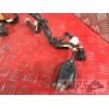Faisceau électrique principaleXJ610AK-710-NCB0-D4365994used