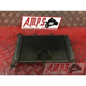 Radiateur d'eauXJ610AK-710-NCB0-D4366017used