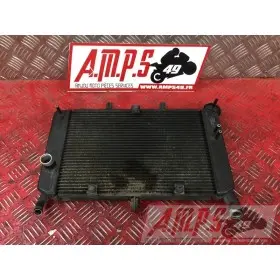 Radiateur d'eauXJ610AK-710-NCB0-D4366017used