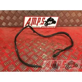 Cable de masseSVS100007BD-911-AZB0-D2366304used