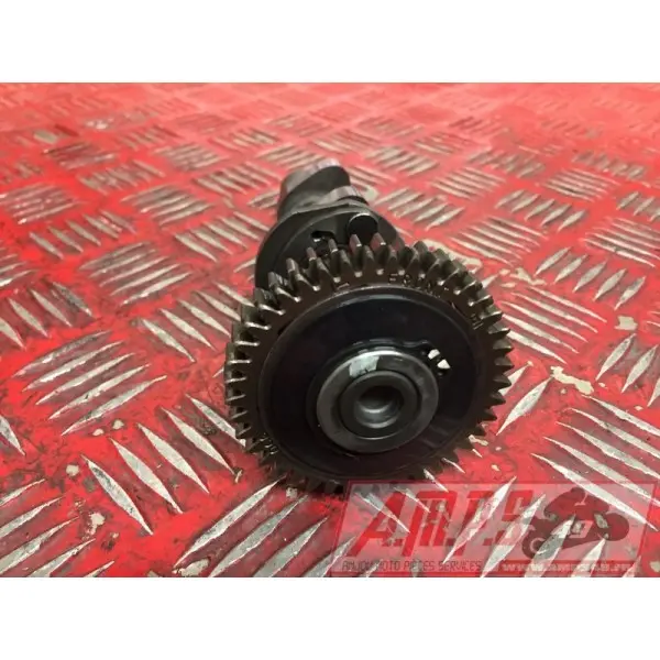 Arbre a cameSVS100007BD-911-AZB0-D2366352used