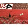 Cable de masse Yamaha R6 1999 à 2002 5EBR600AN-466-HVB0-D2366859used