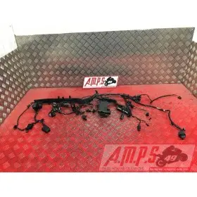 Faisceau électrique principale 