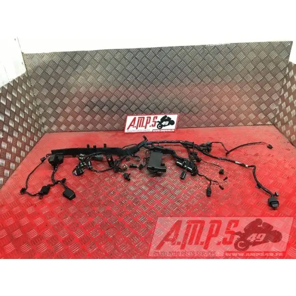 Faisceau électrique principale 