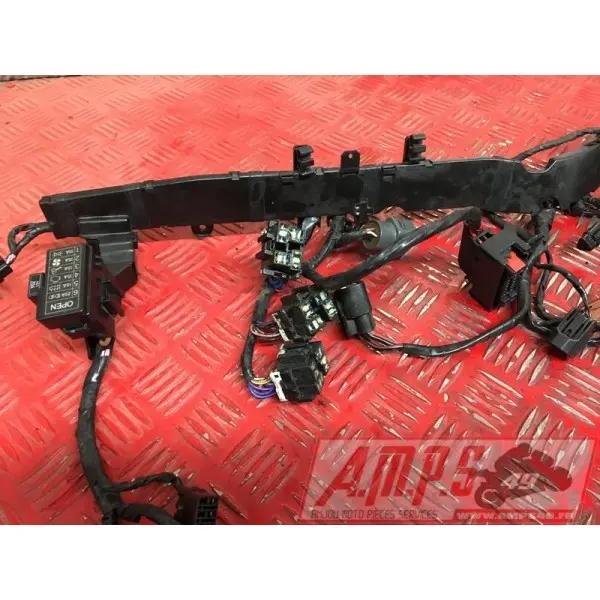 Faisceau électrique principale 