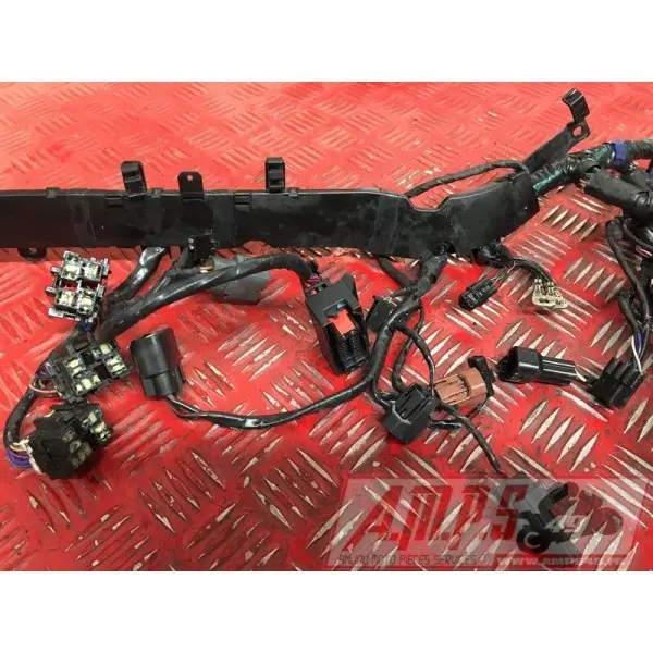 Faisceau électrique principale 