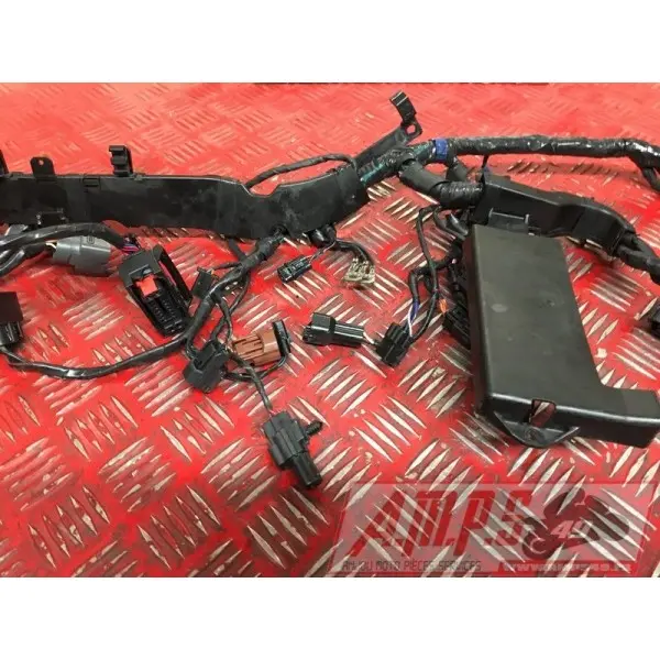 Faisceau électrique principale 