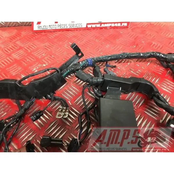 Faisceau électrique principale 