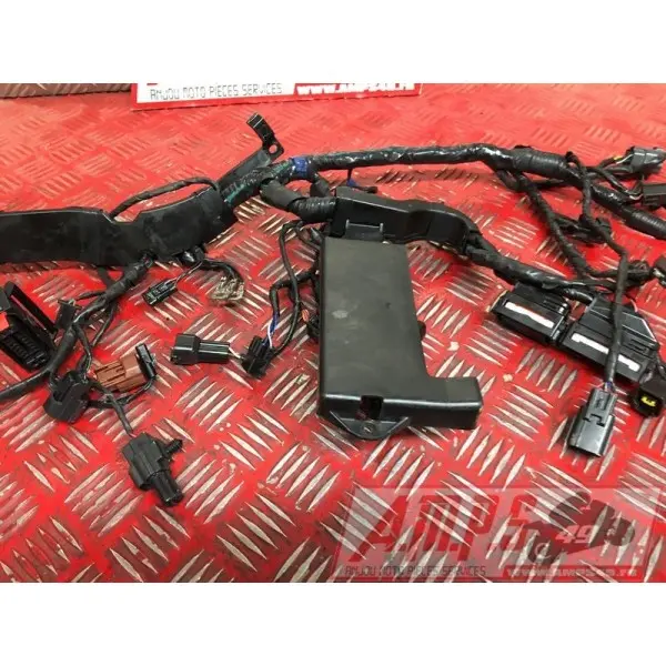 Faisceau électrique principale 